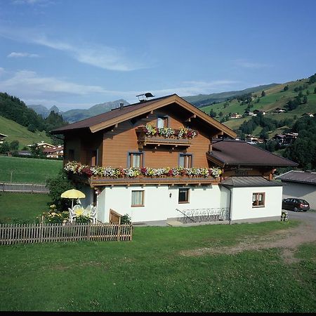 Ski & Bike Pension Maria Saalbach-Hinterglemm Extérieur photo